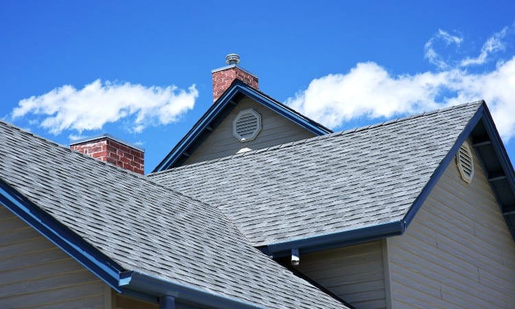 ¿Se pueden pintar las tejas del techo?